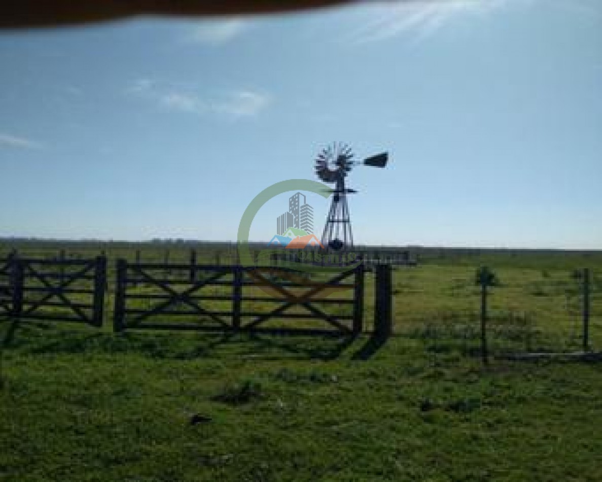 1180 ha  mixtas- Saladillo