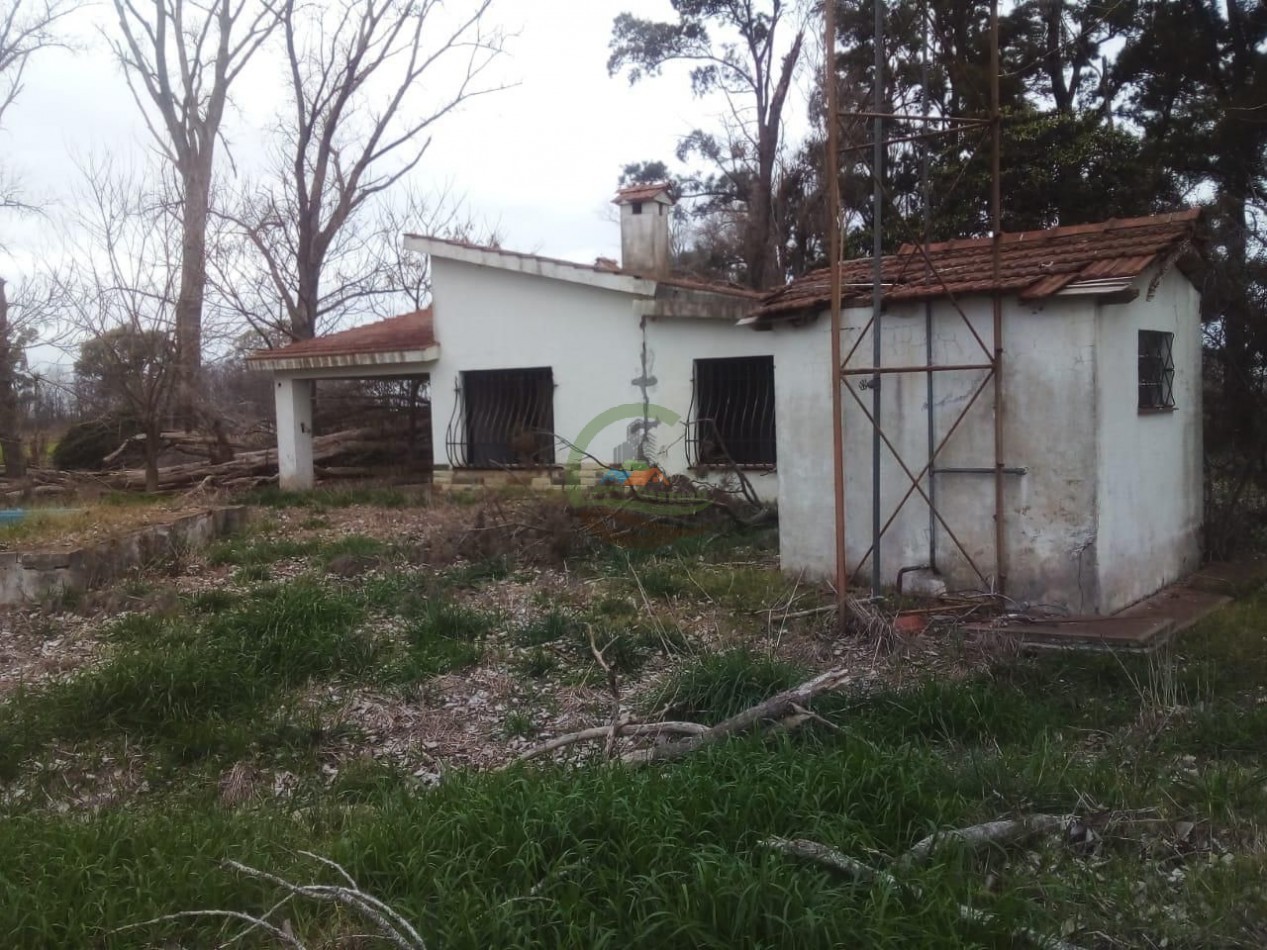 56 ha Agricola - Suipacha