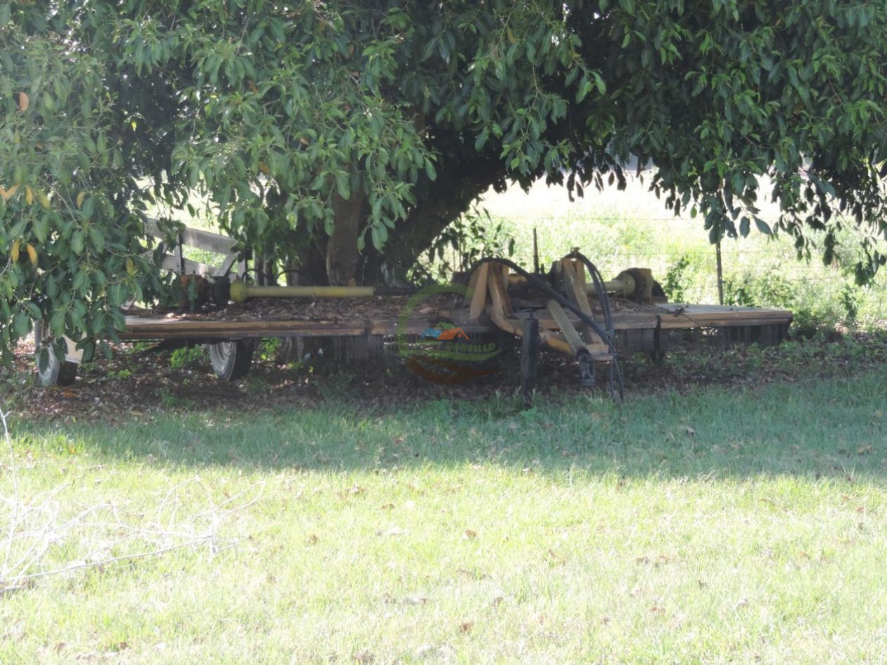 2005 Ha Ganadero - Laishi - Formosa