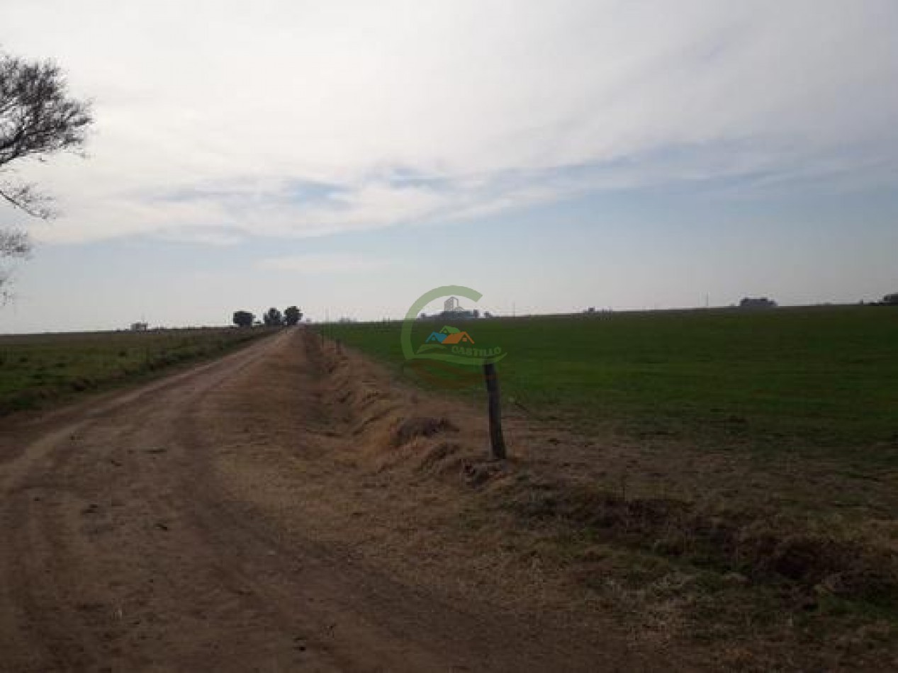 292 Ha Agricolas - Marucha - Carlos Tejedor