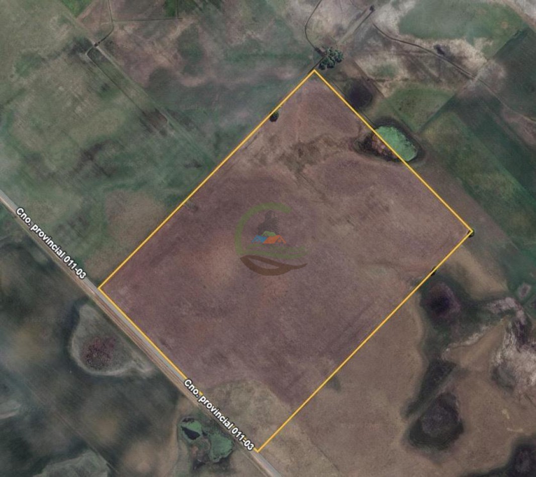 38 Ha Agricolas - Bolivar