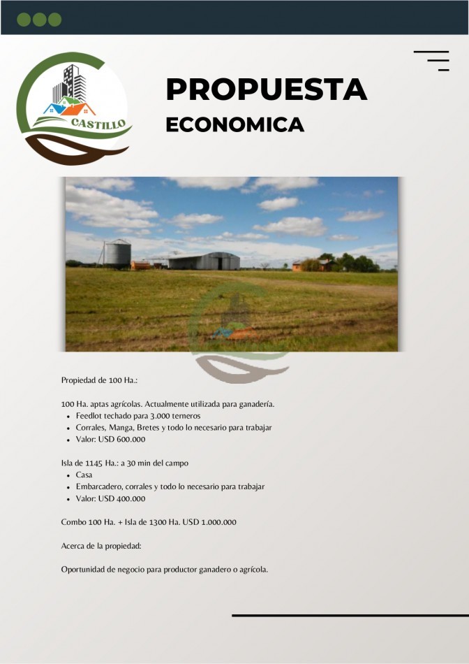 100 Ha Agricolas + 1145 Ha. de Isla - Entre rios