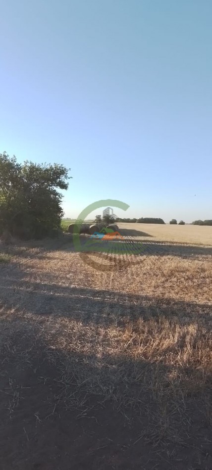 99 ha Agricolas - Suipacha