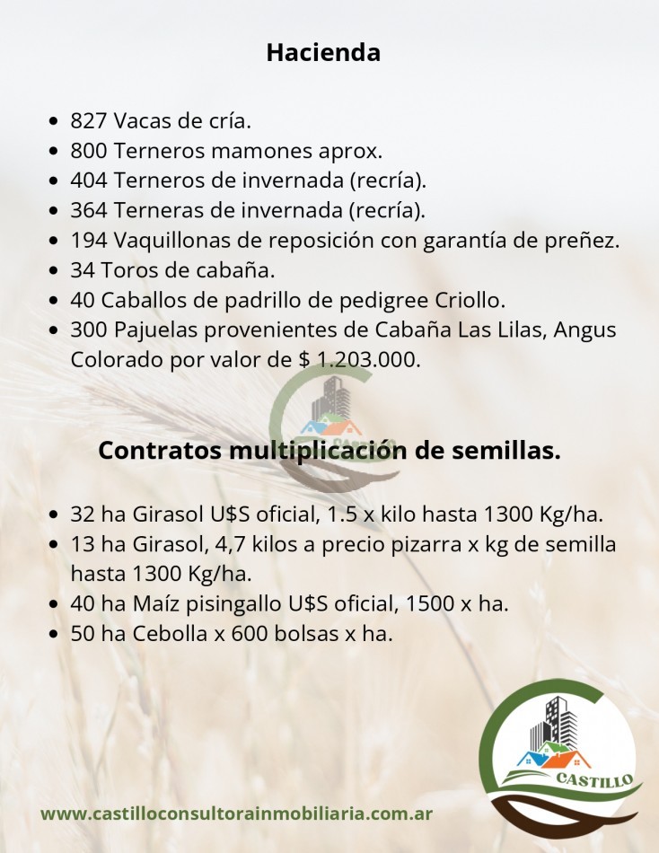 2500 ha mixtas - pedro luro