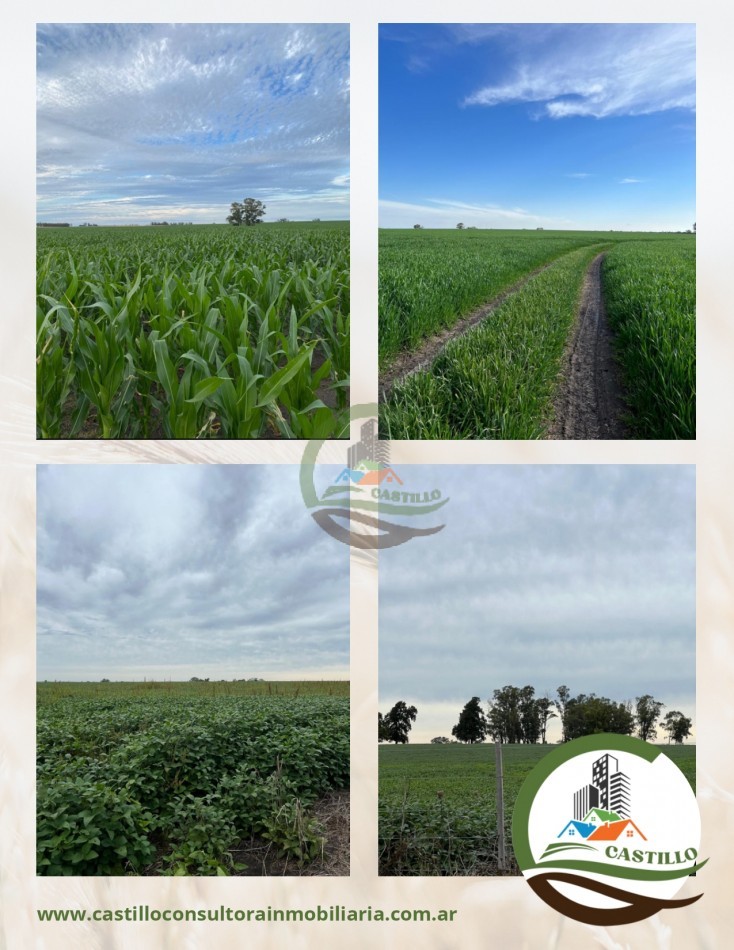 221 ha agricolas -  gualeguaychu