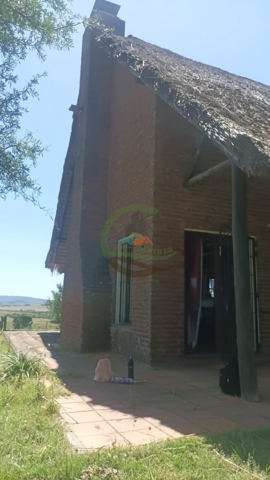 28 Ha Mixtas - Paso de Dutra - Uruguay