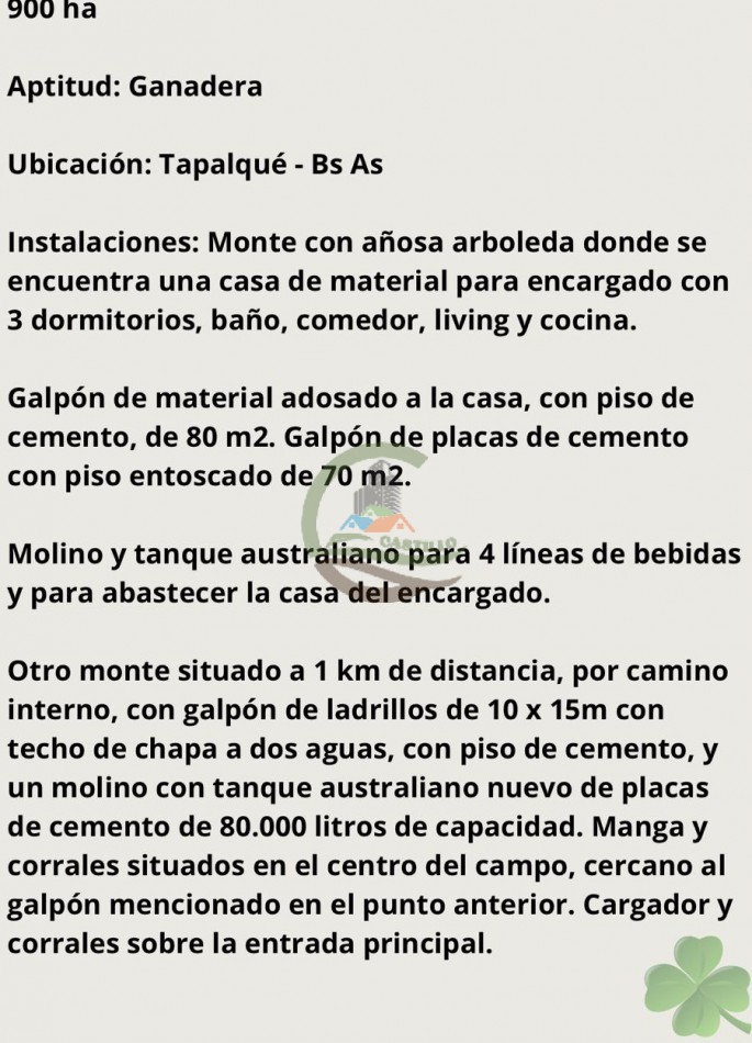 900 ha Ganadera - Tapalque 