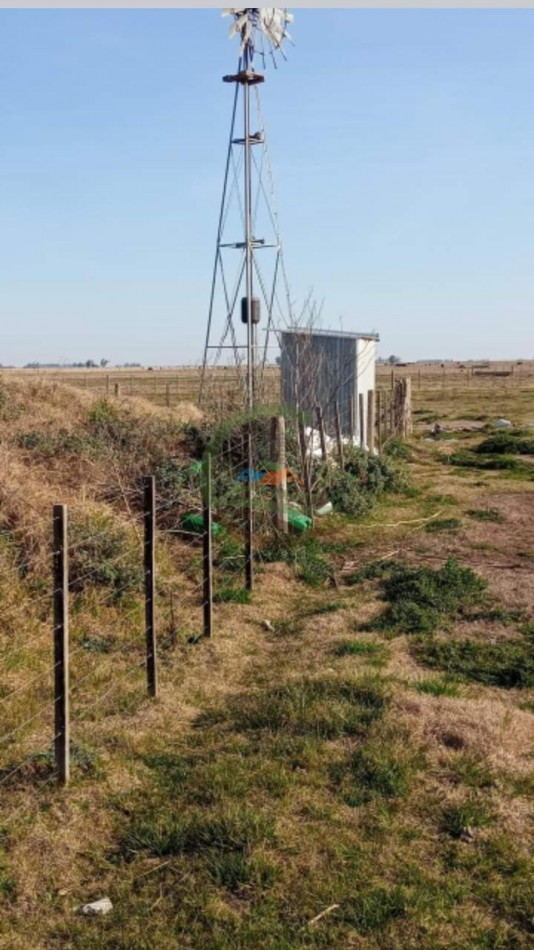 200 ha MIxtas . Tapalque 