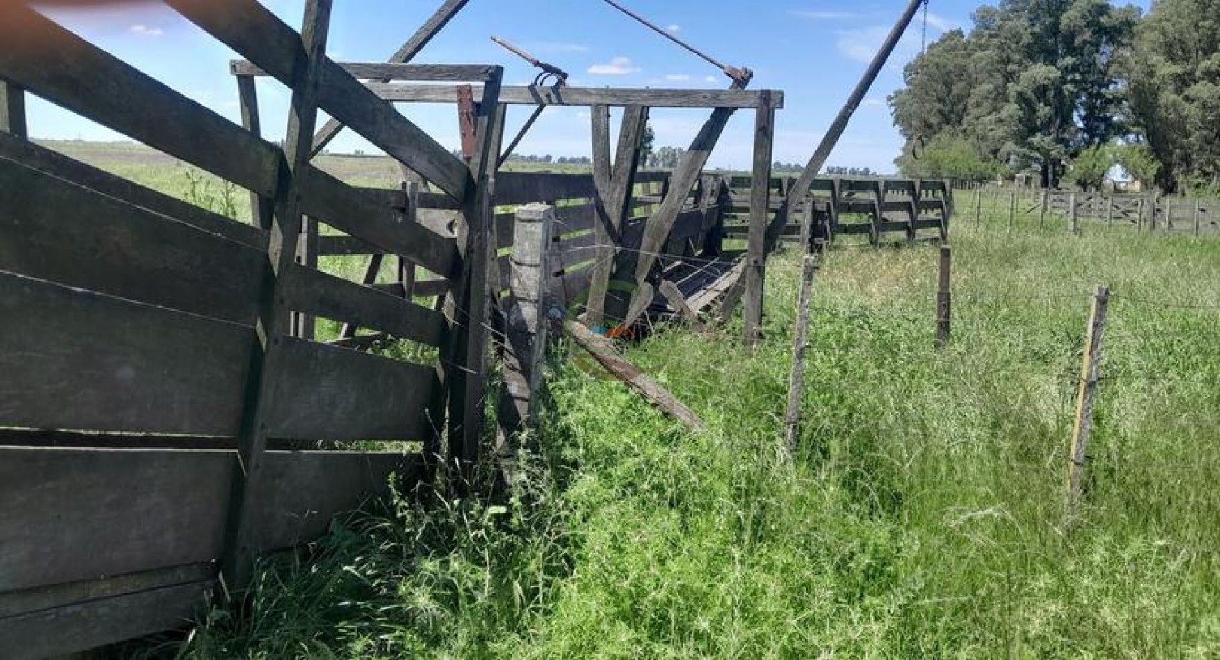 125 Ha MIxto - Bolivar