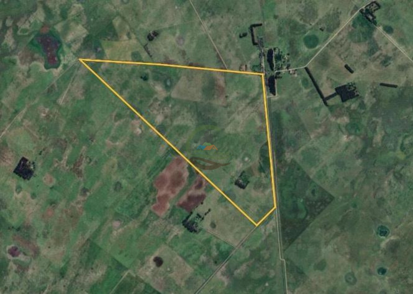 328 Ha Mixto - Colman - Rauch