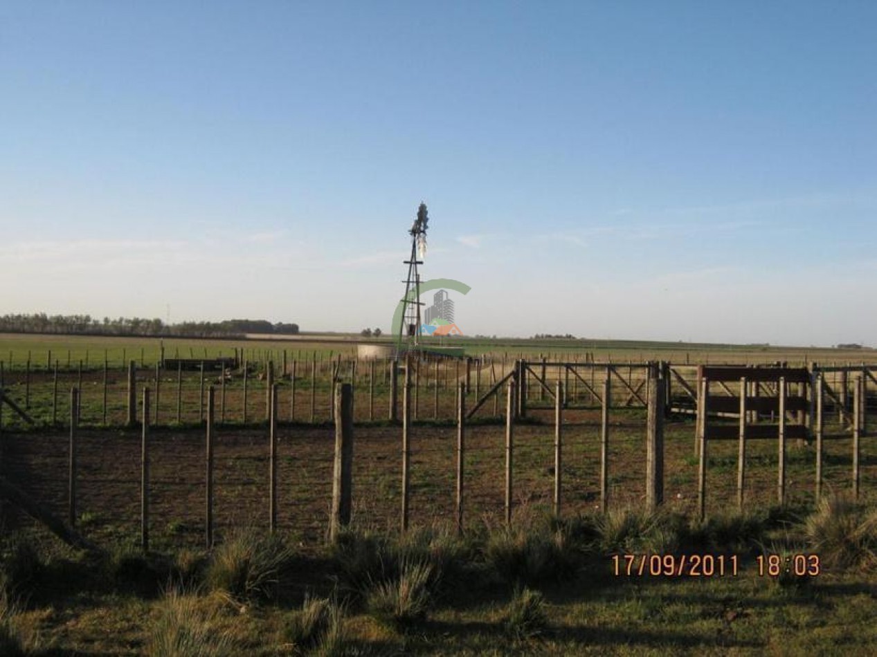 530 Ha Mixto - Coronel Suarez
