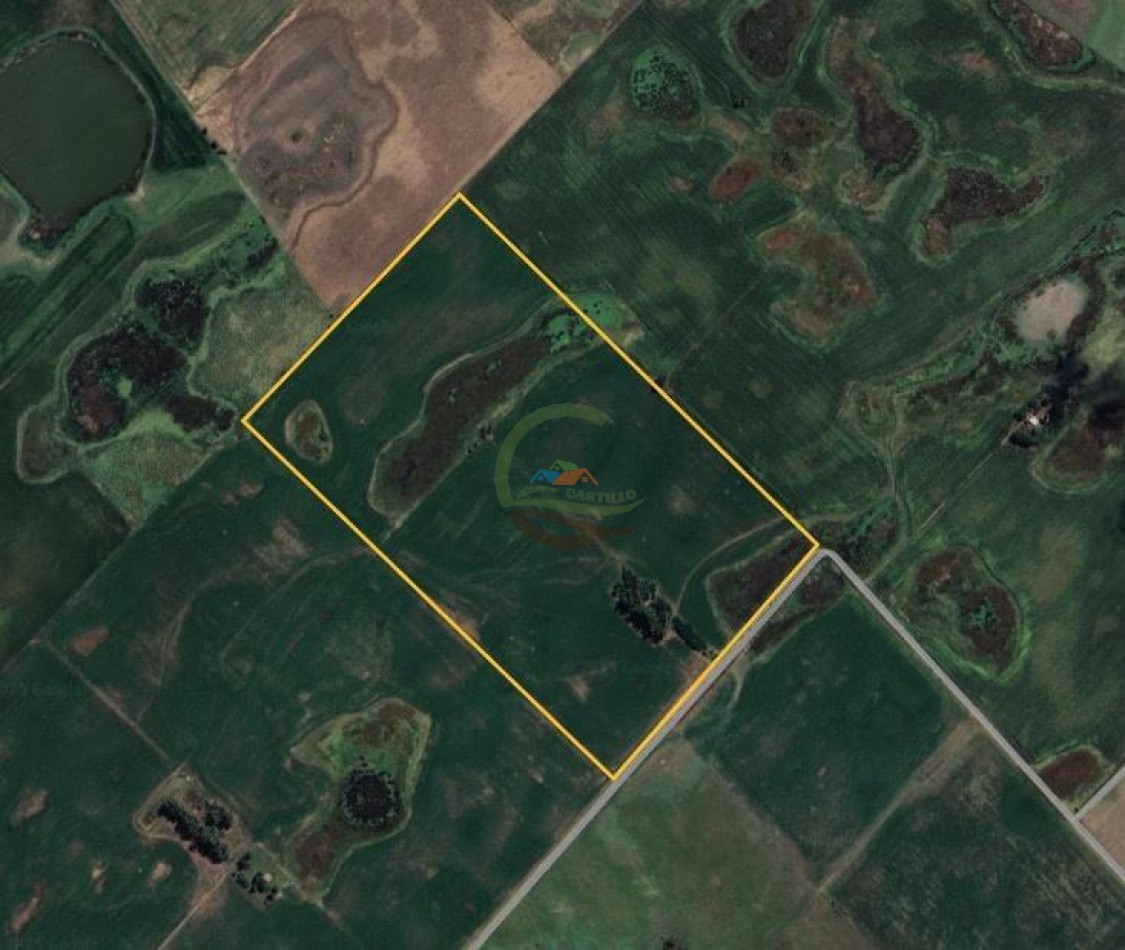 50 Ha Agricolas - Herrera Vegas