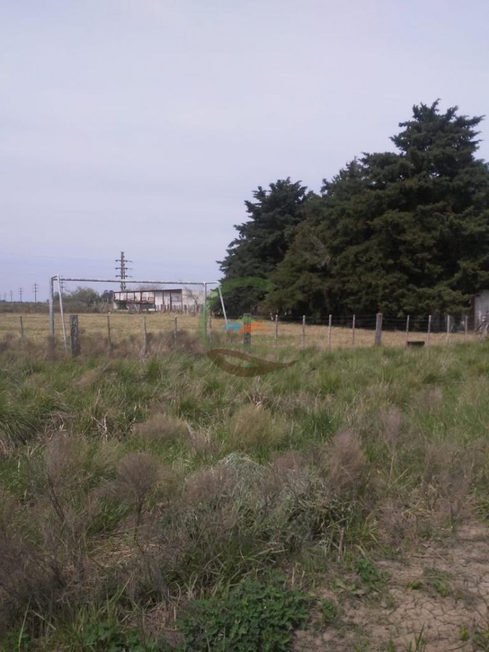 64 ha mixto - punta indio