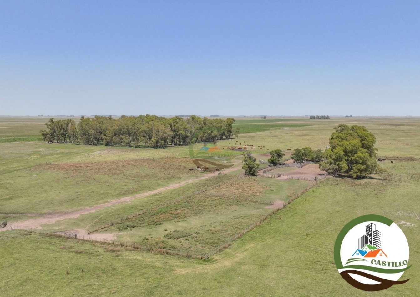 3275 ha ganaderas - general alvear