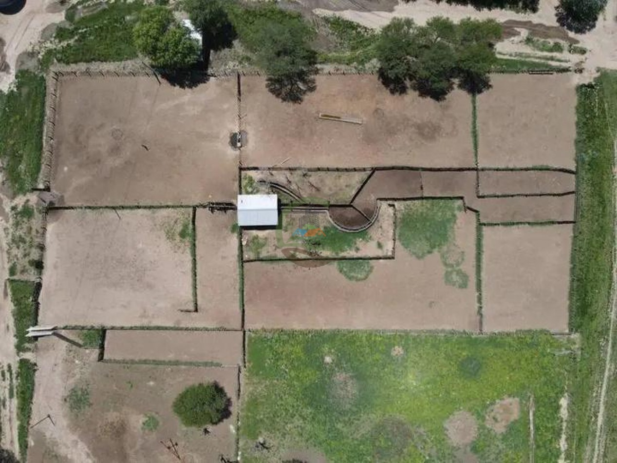5000 Ha Ganadero - Conhelo - La Pampa
