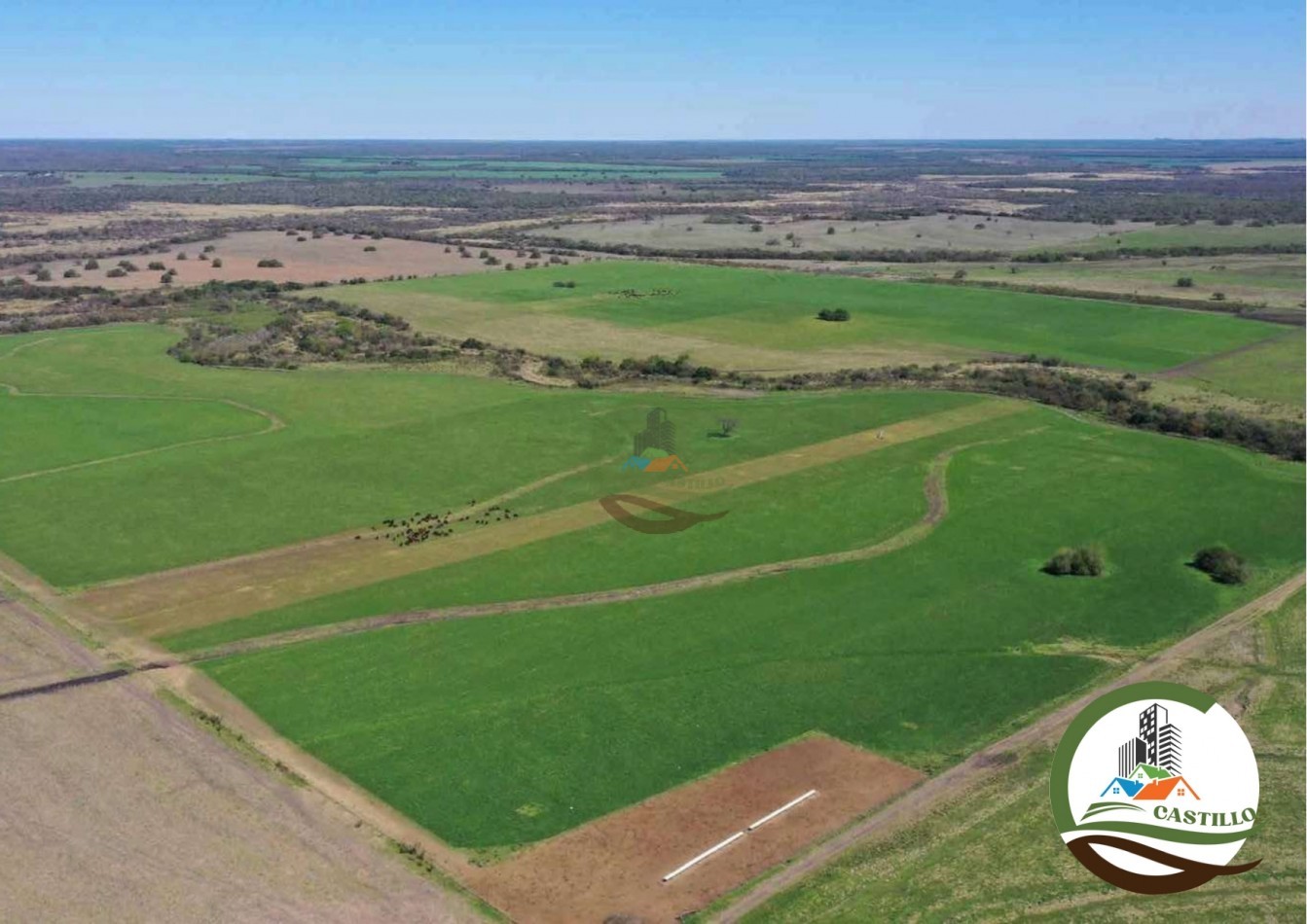 2658 ha Mixto - Entre Rios