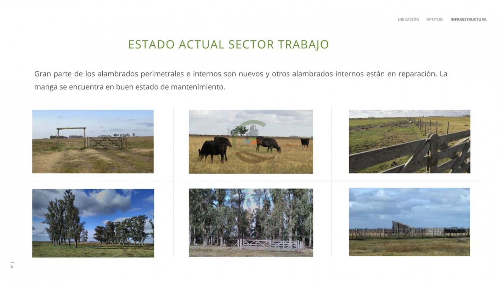 1184 ha Ganadero - Las Flores