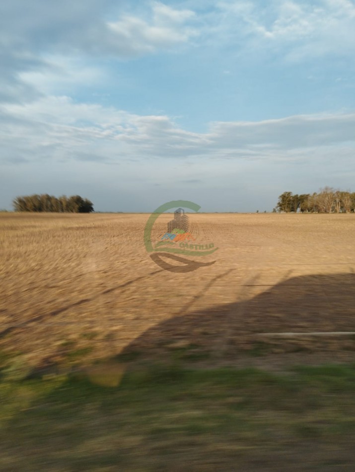 256 ha Mixto - Saladillo