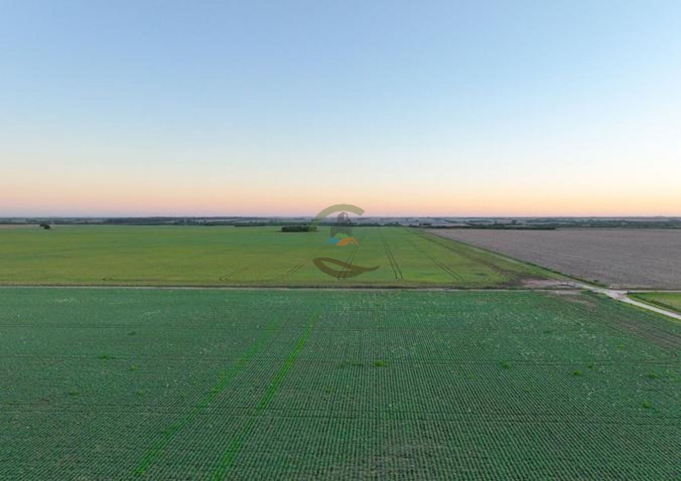 950 Ha Agricolas - Monte Cristo - Cordoba 