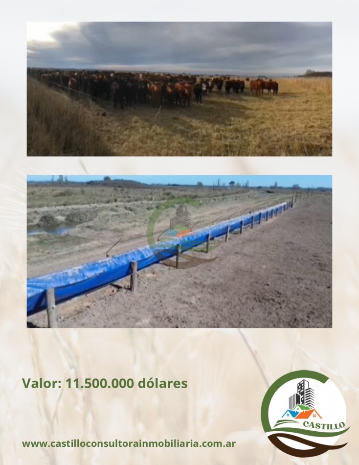2500 ha mixtas - pedro luro