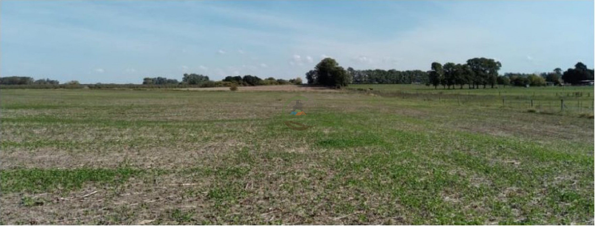 975 Ha Agricolas - San Antonio de Areco