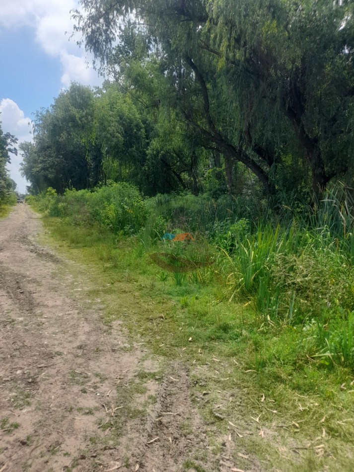 4 ha Desarrollo - Tigre