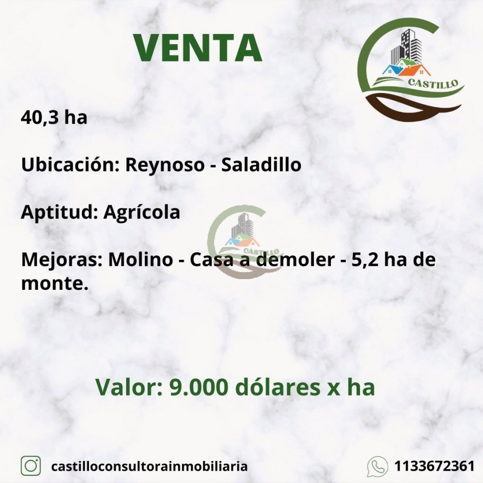 40,3 ha Mixtas - Saladillo