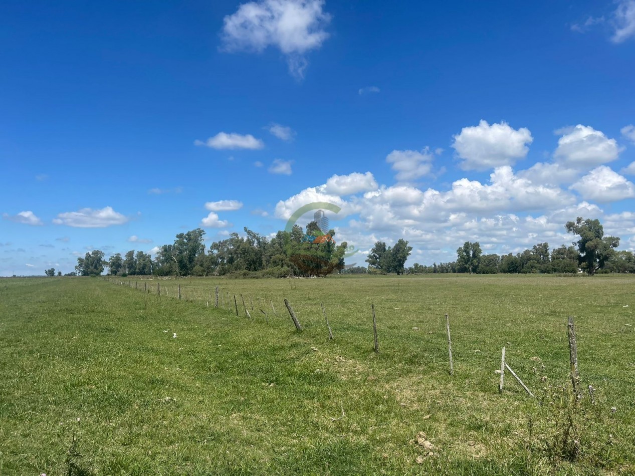 106 ha ganadero - gral alvear