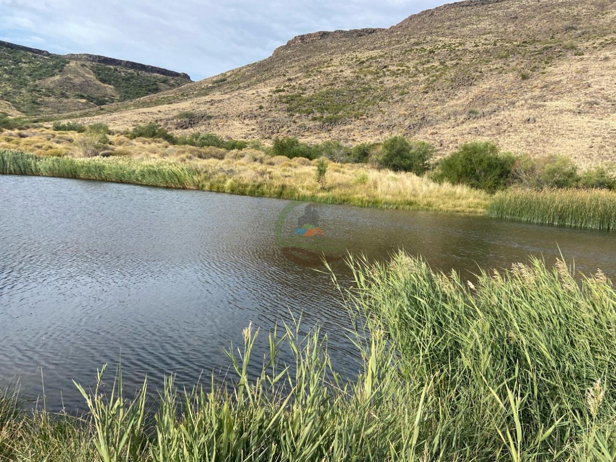 4047 Ha Ganadero - Coto de Caza - La Rinconada - Neuquen