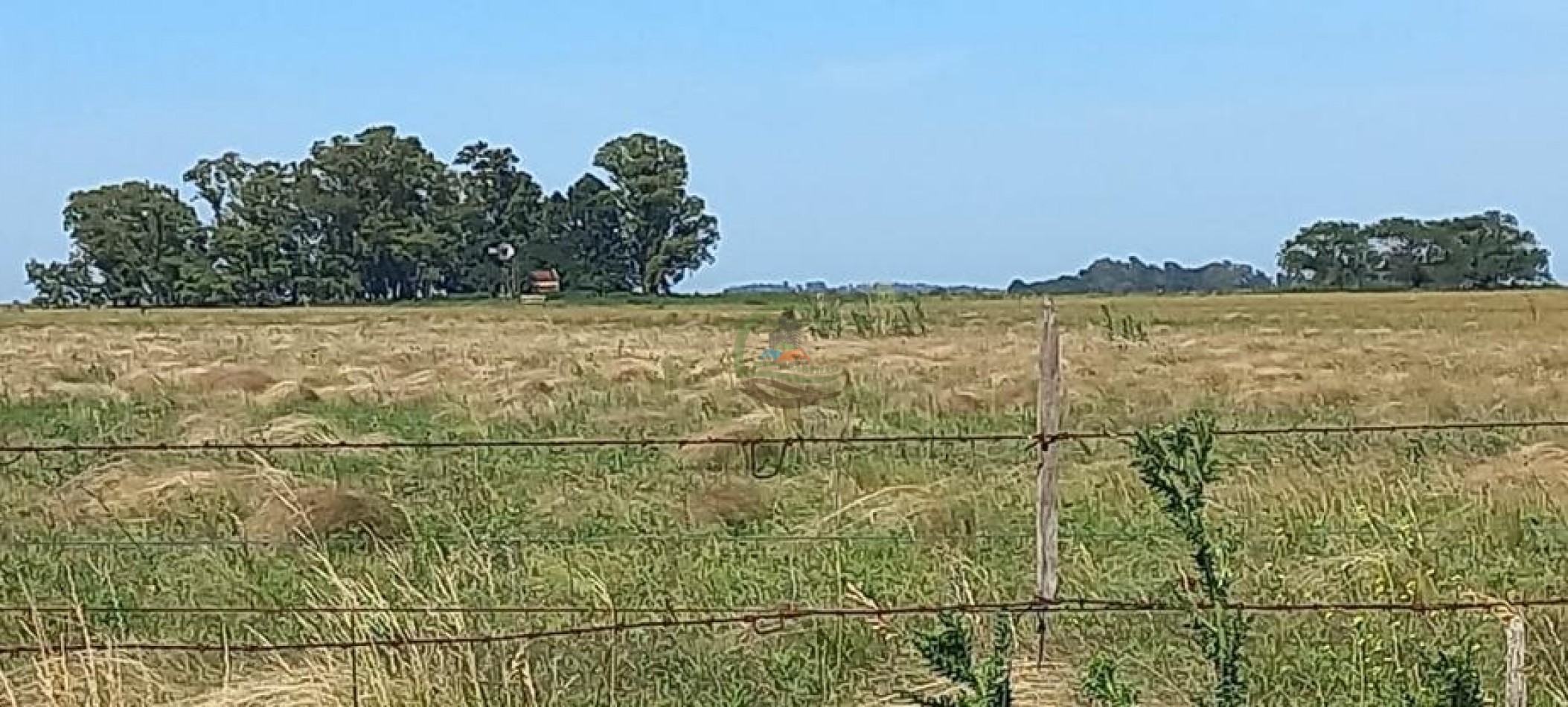 120 Ha Ganadero - Santa Isabel - Gral Alvear
