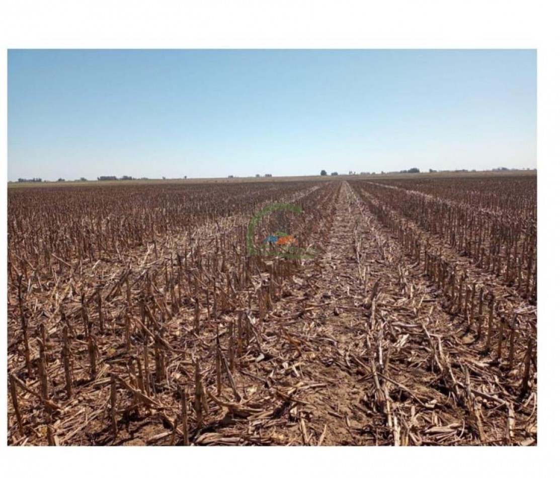 936 Ha Mixto - Carlos Tejedor
