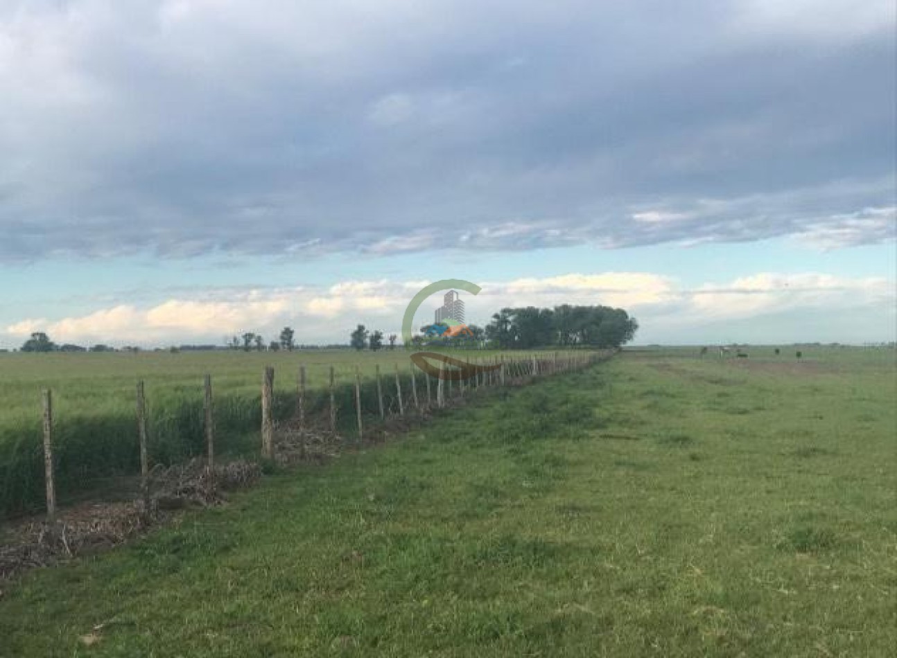875 Ha Mixto - Carlos Tejedor