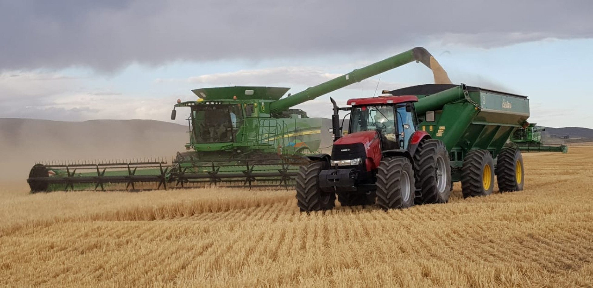 100 ha MIxtas - Sierras de la Ventana