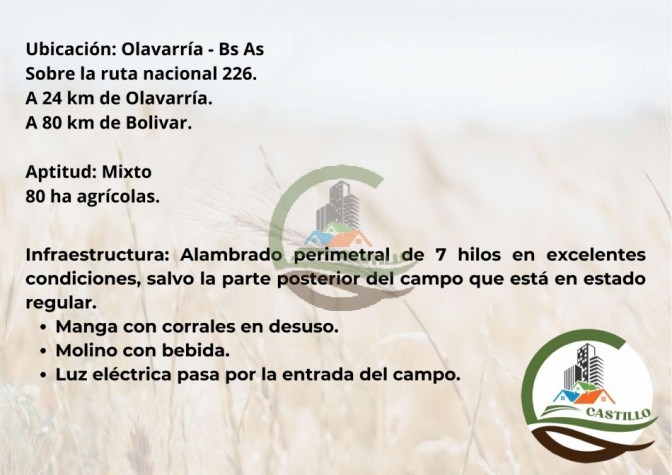 204 ha mixtas - olavarria