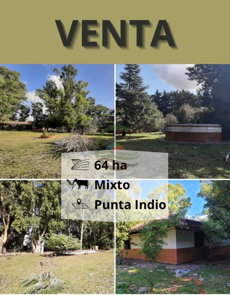 64 ha mixto - punta indio