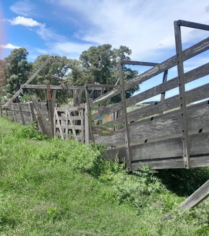 125 Ha MIxto - Bolivar