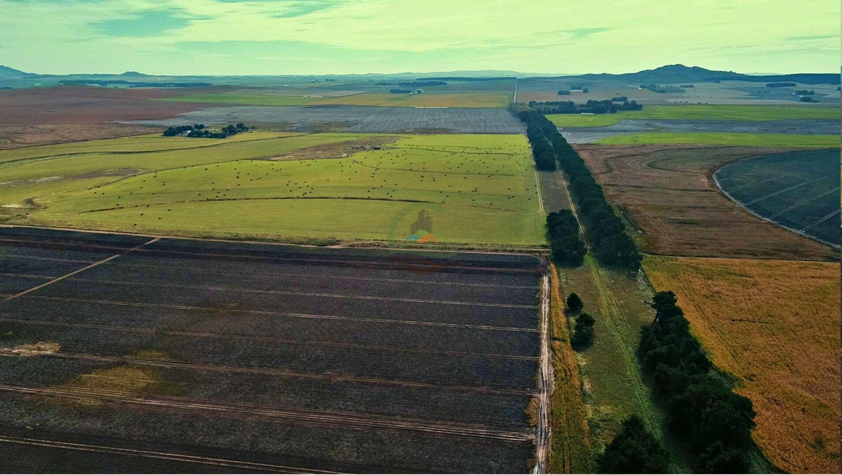 1007 Ha Agricolas - Tandil