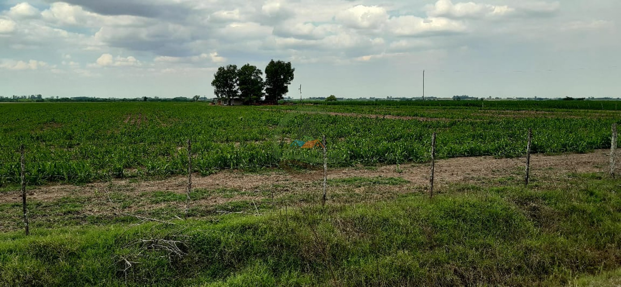 177 ha Mixtas - Pergamino 