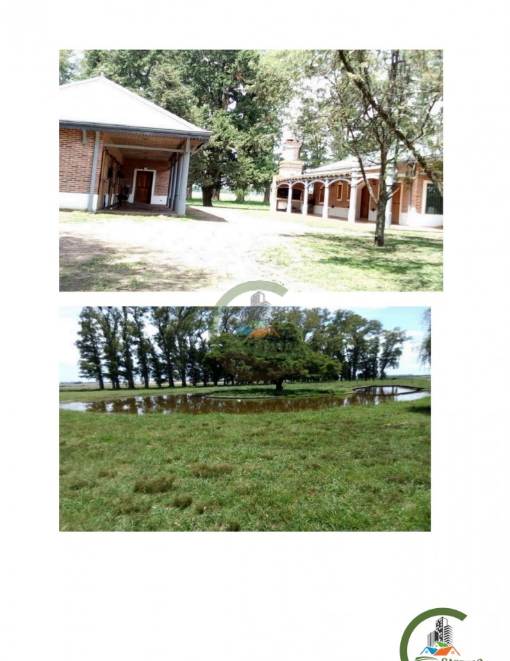 300 ha Agricolas - Capitan Sarmiento