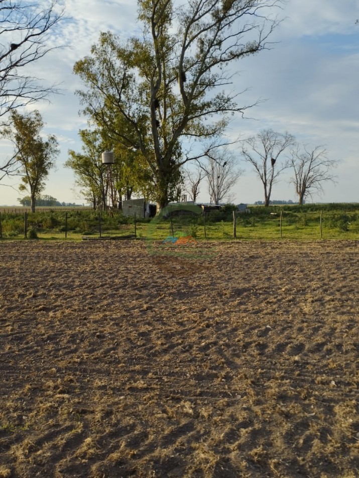 256 ha Mixto - Saladillo