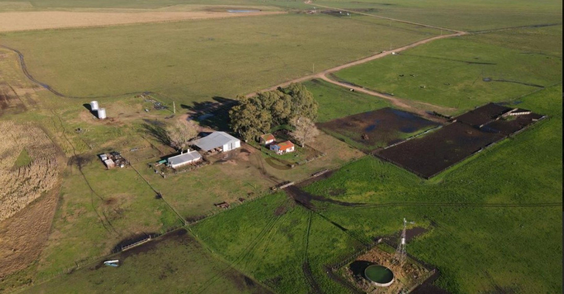 1437 Ha Mixta - Olavarria
