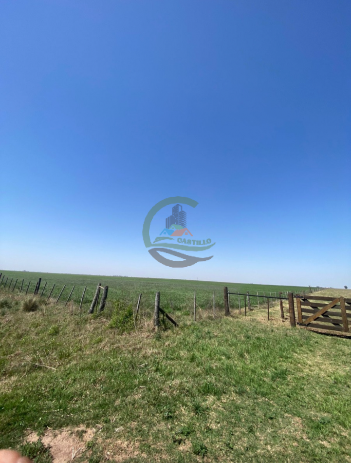 850 ha mixtas - cordoba