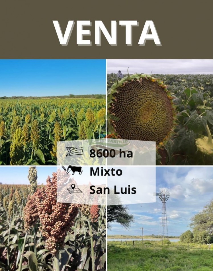 8600 HA MIxtas - San Luis
