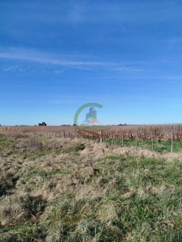 72 Ha Mixtas - Bolivar  - Pirovano