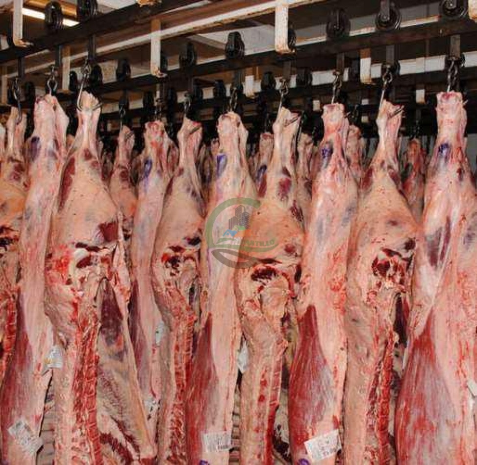 Frigorifico - con feedlot- Exportadora - La Adela - La Pampa
