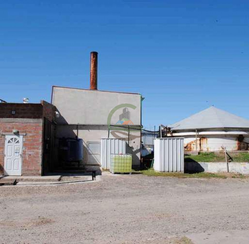 Frigorifico - con feedlot- Exportadora - La Adela - La Pampa