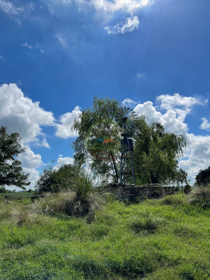 84 ha mixta - Bolivar