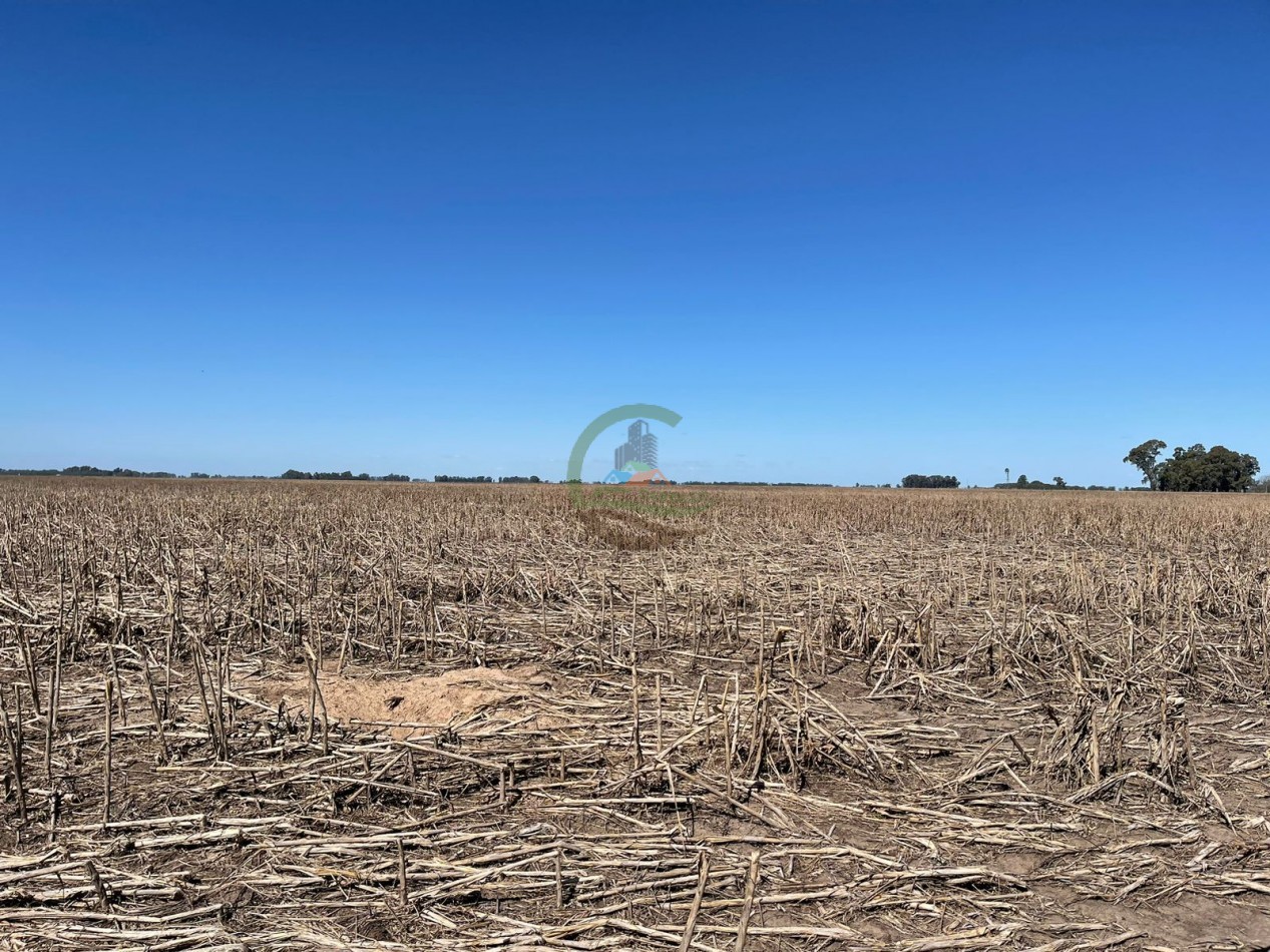 102 ha Agricolas - 25 de Mayo 