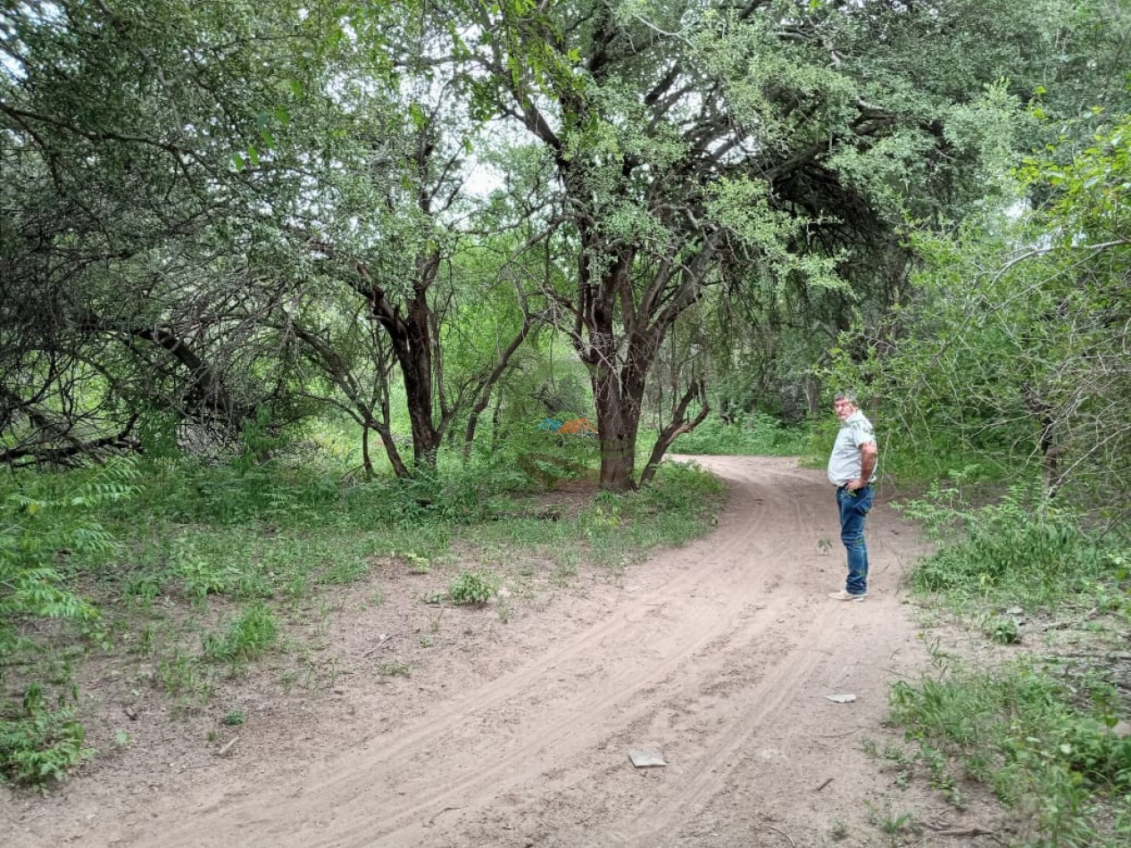 128 Ha - Sumamao - Santiago del Estero