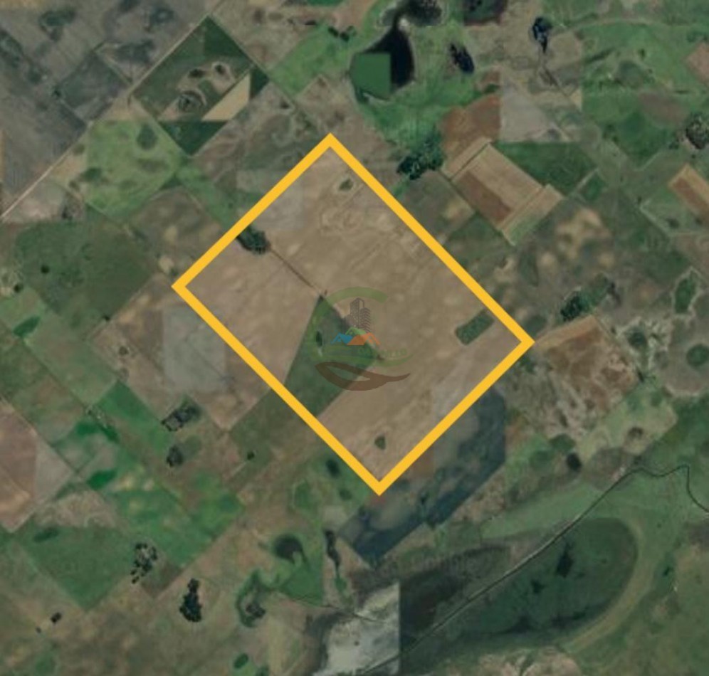 165 Ha Mixto - Urdampilleta - Bolivar